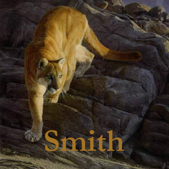 Daniel Smith